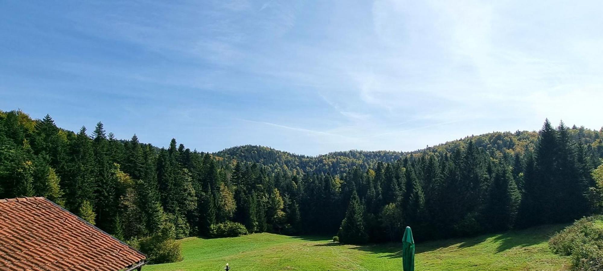 Planinski Dom Na Travni Gori Sodrazica المظهر الخارجي الصورة